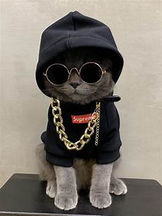 Cat Sweatshirt