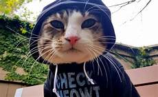 Cat Sweatshirt