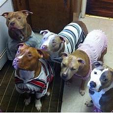 Christmas Sweatshirt