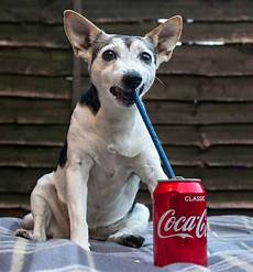 Coca Cola T Shirt