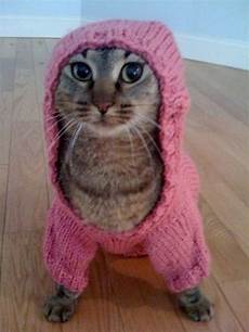 Funny Hoodies